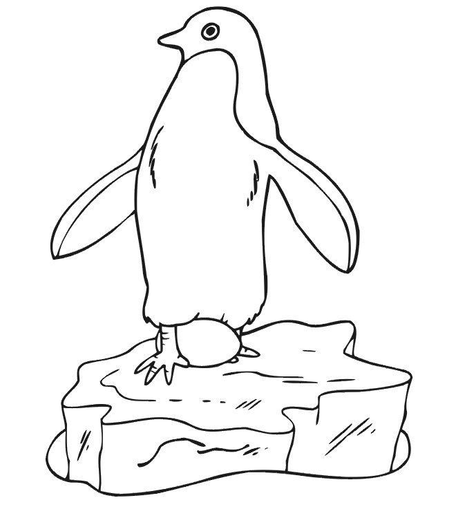 Coloring page: Penguin (Animals) #16864 - Free Printable Coloring Pages