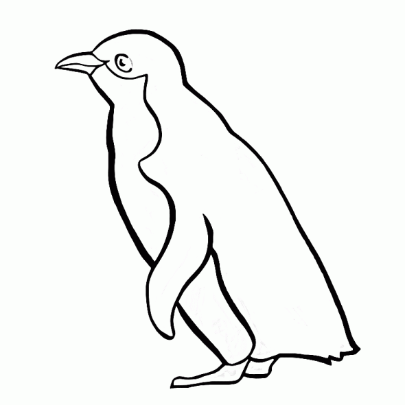 Drawing Penguin #16874 (Animals) – Printable coloring pages