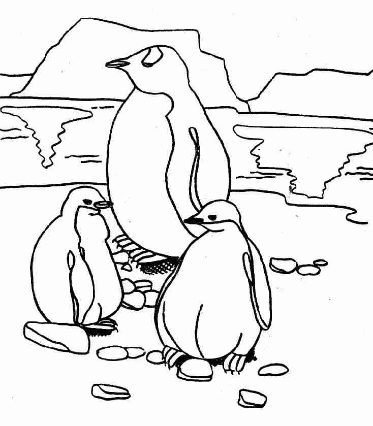Coloring page: Penguin (Animals) #16876 - Free Printable Coloring Pages