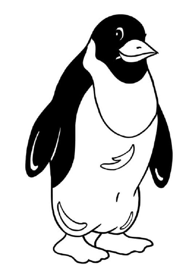 Coloring page: Penguin (Animals) #16882 - Free Printable Coloring Pages