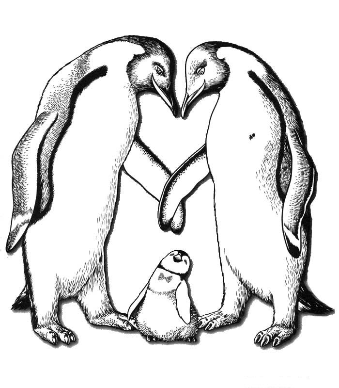 Coloring page: Penguin (Animals) #16884 - Free Printable Coloring Pages