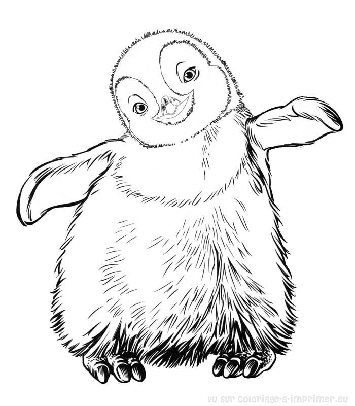 Coloring page: Penguin (Animals) #16887 - Free Printable Coloring Pages