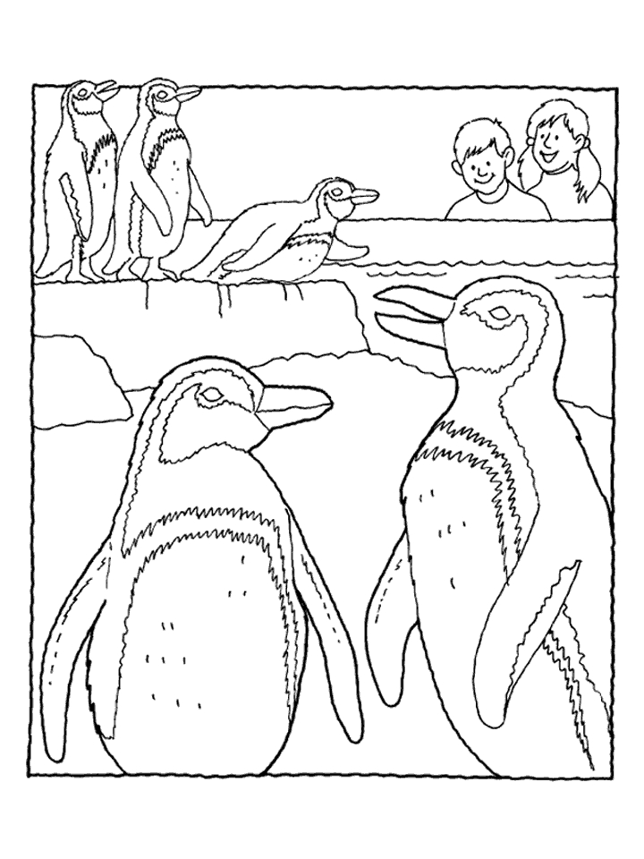 Coloring page: Penguin (Animals) #16901 - Free Printable Coloring Pages