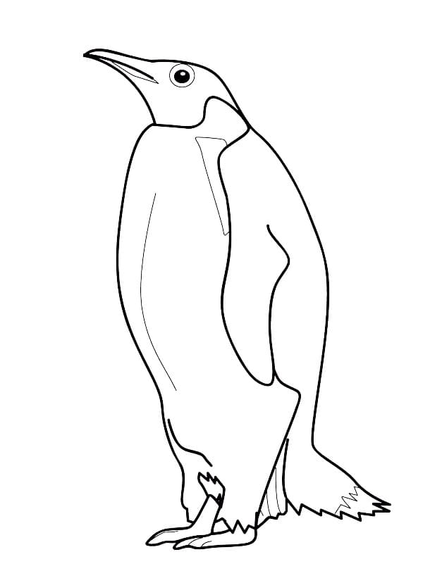 Free printable Penguin coloring page #186568 from Animals collection