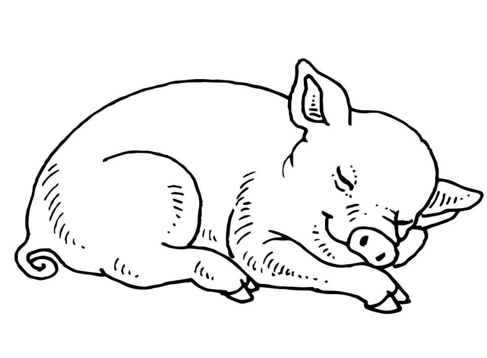 Free printable Pig coloring page #191174 from Animals collection