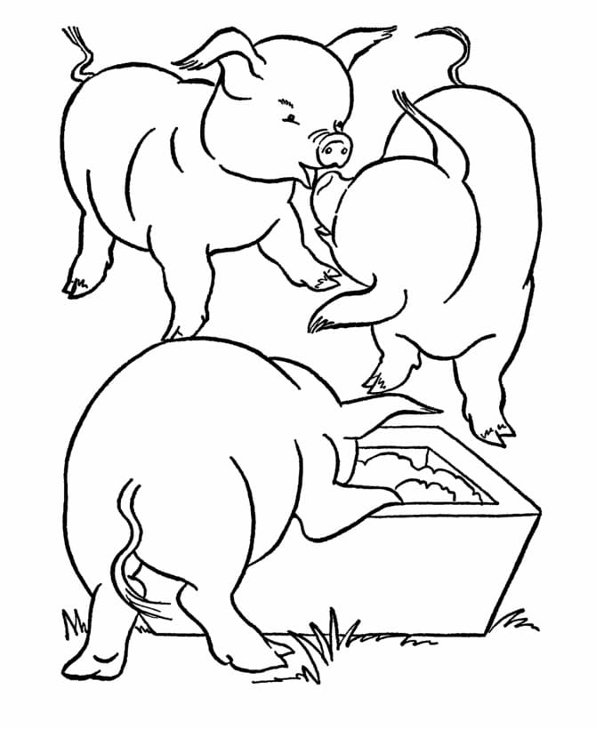 Free printable Pig coloring page #191194 from Animals collection