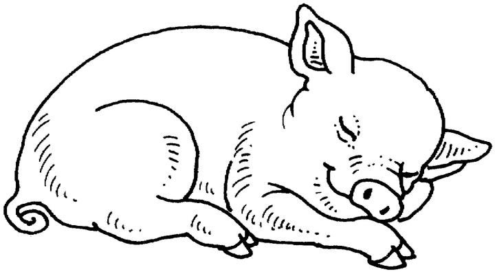 Coloring page: Pig (Animals) #3590 - Free Printable Coloring Pages