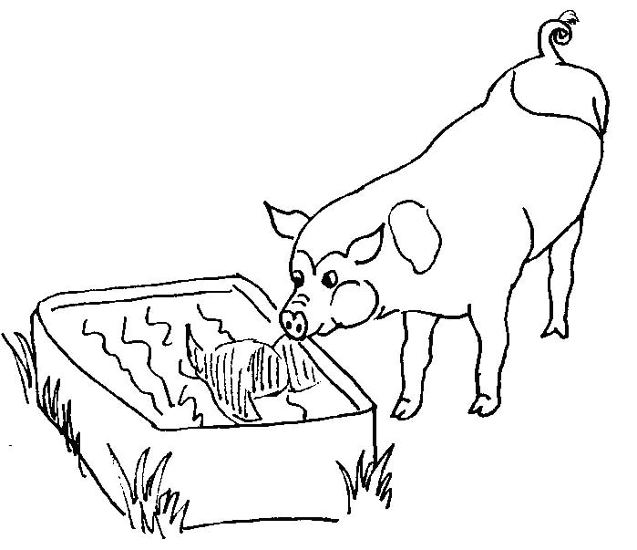 Coloring page: Pig (Animals) #3630 - Free Printable Coloring Pages