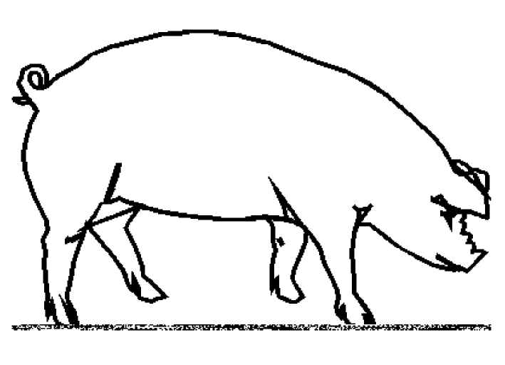 Coloring page: Pig (Animals) #3643 - Free Printable Coloring Pages