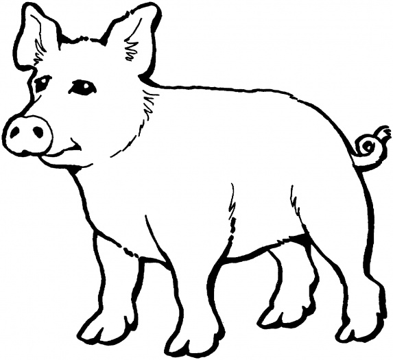 Coloring page: Pig (Animals) #3671 - Free Printable Coloring Pages