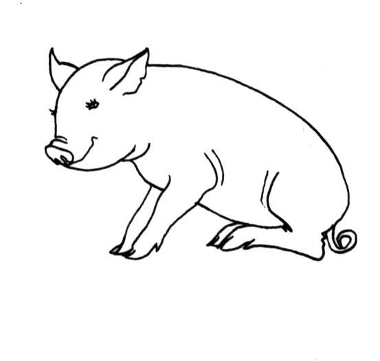 Coloring page: Pig (Animals) #3744 - Free Printable Coloring Pages