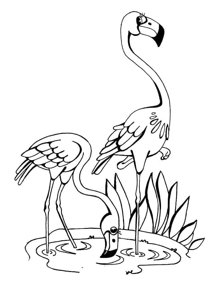 Free printable Pink Flamingo coloring page #198751 from Animals collection Free printable Pink Flamingo coloring page #198751 from Animals collection