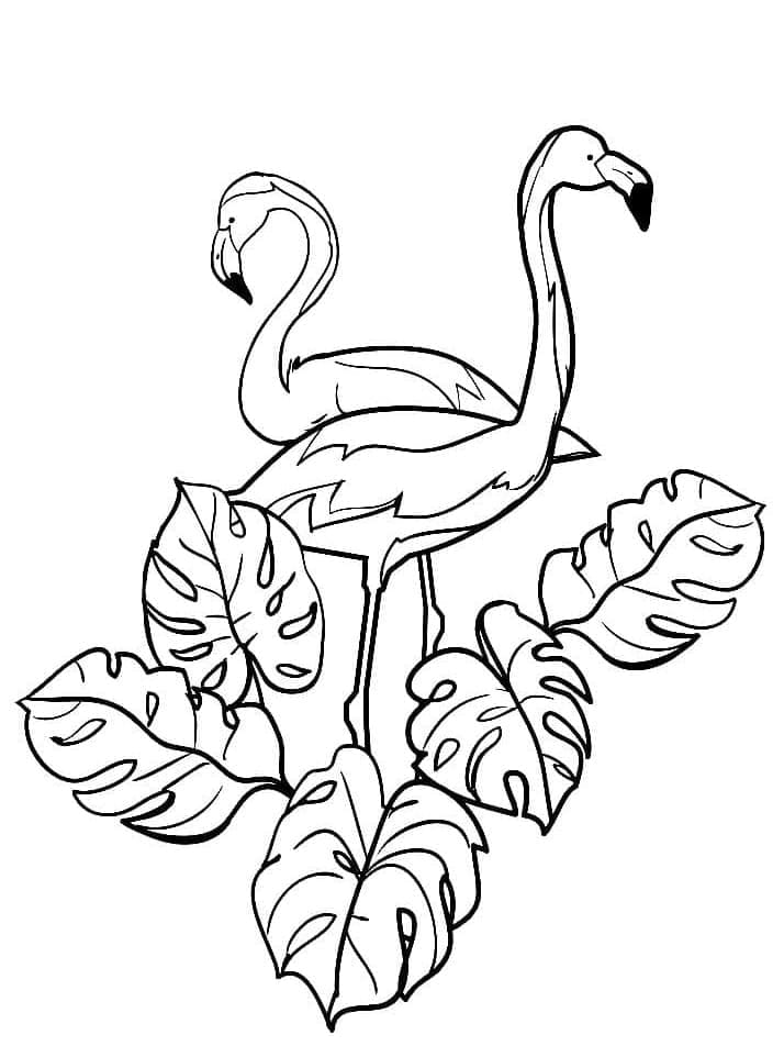 Coloring page: Pink Flamingo (Animals) #198787 - Free Printable Coloring Pages