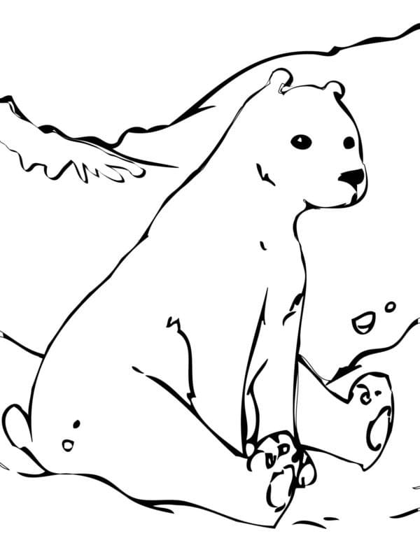 Free printable Polar Bear coloring page #201223 from Animals collection