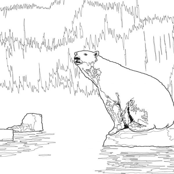 Free printable Polar Bear coloring page #201225 from Animals collection