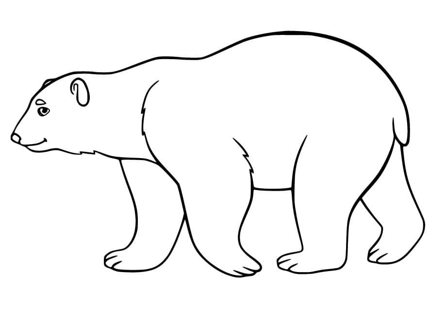 Free printable Polar Bear coloring page #201229 from Animals collection