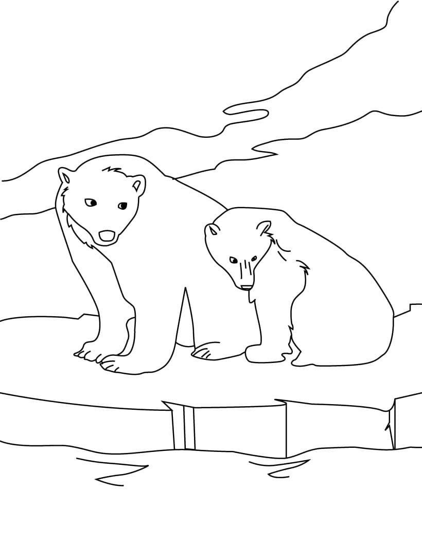 Free printable Polar Bear coloring page #201242 from Animals collection