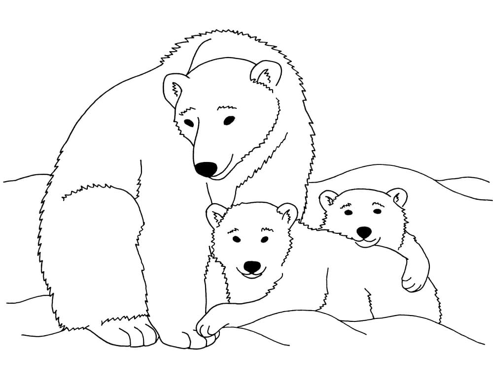 Free printable Polar Bear coloring page #201262 from Animals collection