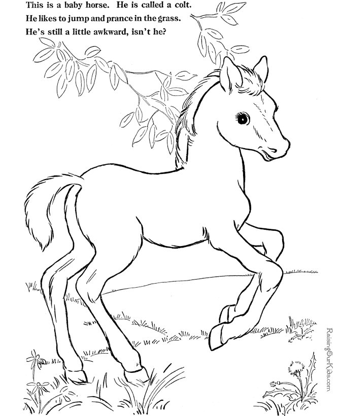 Coloring page: Pony (Animals) #17997 - Free Printable Coloring Pages