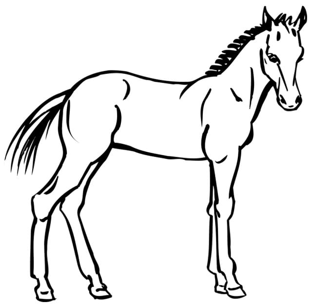Free printable Pony coloring page #214236 from Animals collection
