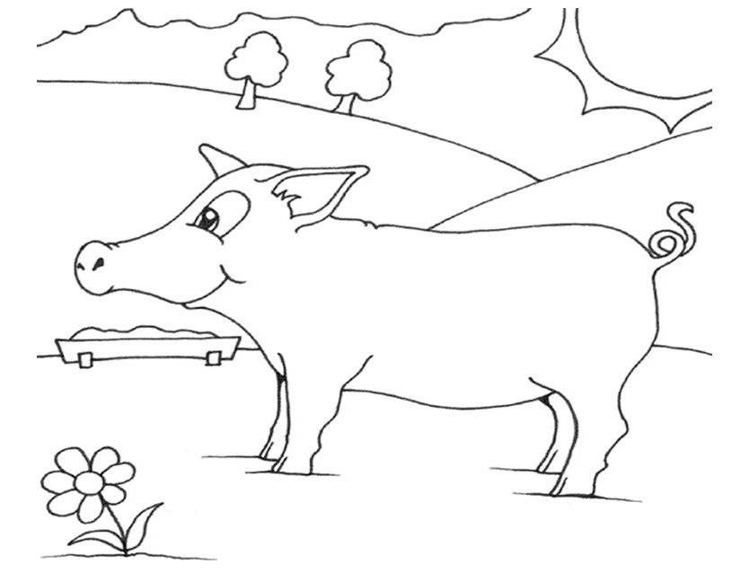 Coloring page: Pork (Animals) #17638 - Free Printable Coloring Pages