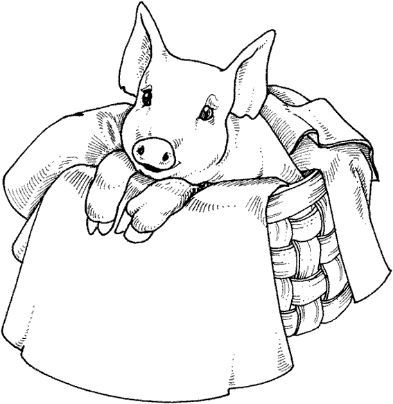 Coloring page: Pork (Animals) #17784 - Free Printable Coloring Pages