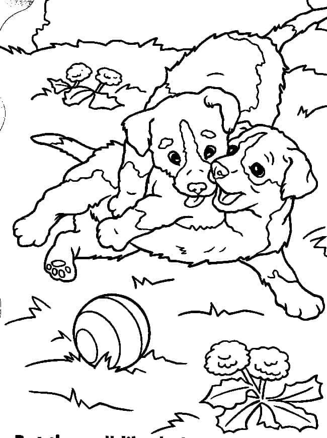 Free printable Puppy coloring page #199526 from Animals collection
