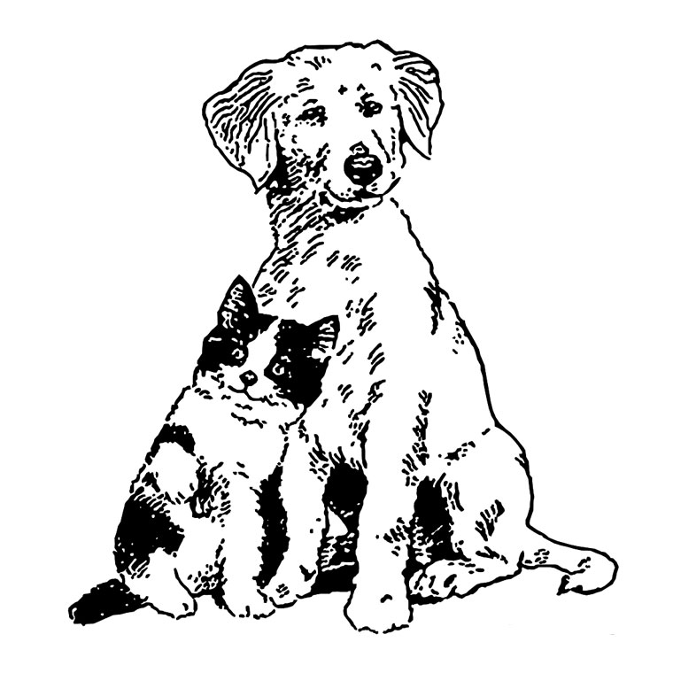 Coloring page: Puppy (Animals) #2931 - Free Printable Coloring Pages