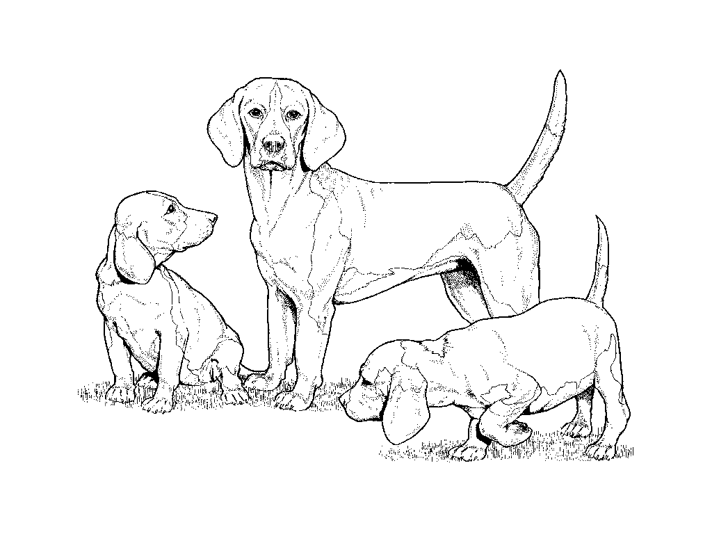 Coloring page: Puppy (Animals) #2953 - Free Printable Coloring Pages