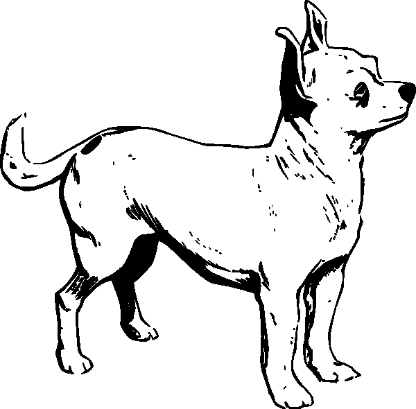 Coloring page: Puppy (Animals) #2962 - Free Printable Coloring Pages