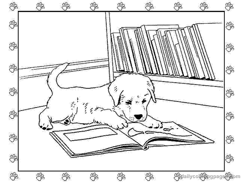 drawing puppy 2973 animals printable coloring pages