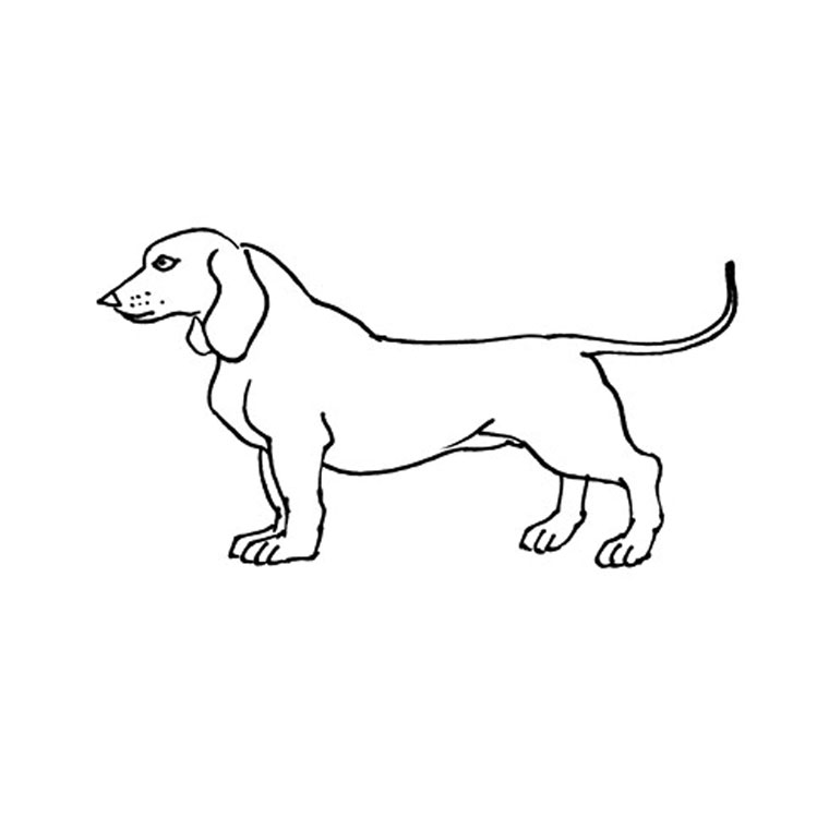 Coloring page: Puppy (Animals) #2979 - Free Printable Coloring Pages