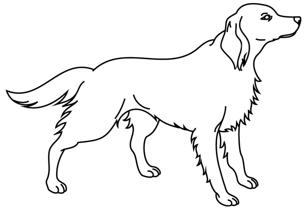 Coloring page: Puppy (Animals) #2995 - Free Printable Coloring Pages