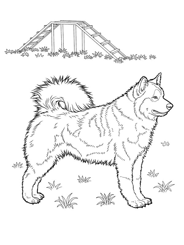Coloring page: Puppy (Animals) #3008 - Free Printable Coloring Pages
