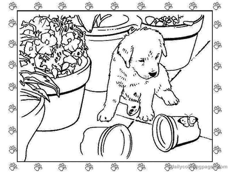 drawing puppy 3011 animals printable coloring pages