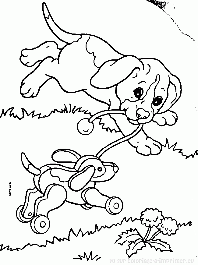 Coloring page: Puppy (Animals) #3022 - Free Printable Coloring Pages