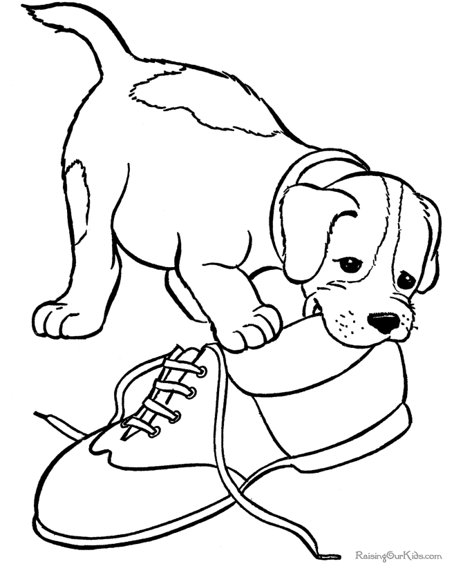 drawing puppy 3024 animals printable coloring pages
