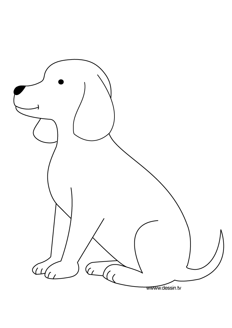 Coloring page: Puppy (Animals) #3035 - Free Printable Coloring Pages