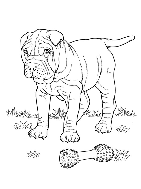 Coloring page: Puppy (Animals) #3044 - Free Printable Coloring Pages