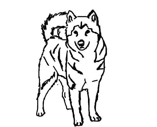 Coloring page: Puppy (Animals) #3048 - Free Printable Coloring Pages