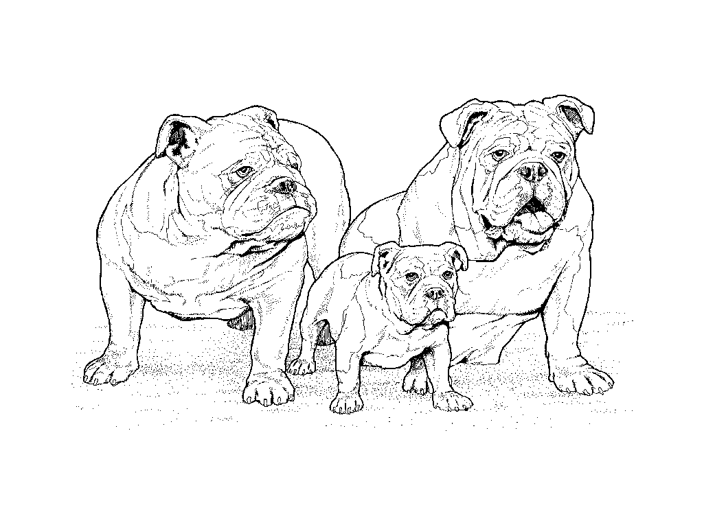 Coloring page: Puppy (Animals) #3062 - Free Printable Coloring Pages