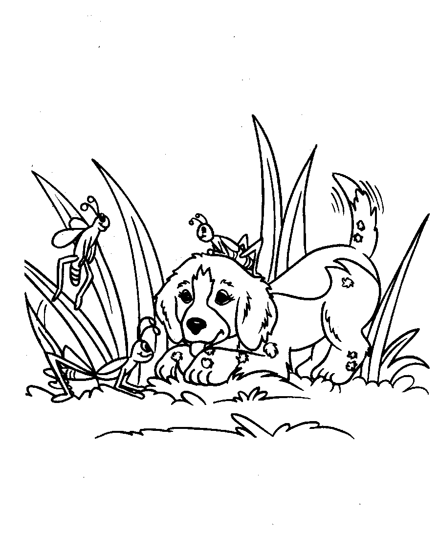 Coloring page: Puppy (Animals) #3082 - Free Printable Coloring Pages