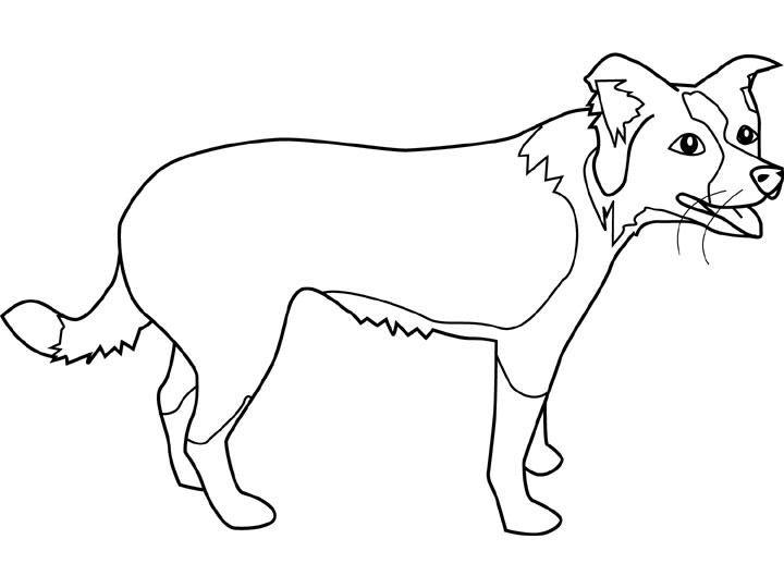 Coloring page: Puppy (Animals) #3088 - Free Printable Coloring Pages