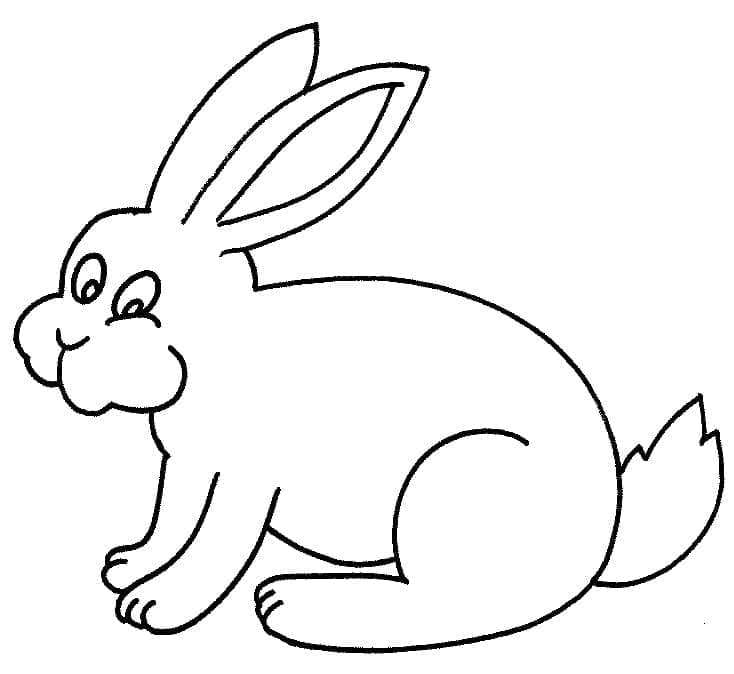 Free printable Rabbit coloring page #177198 from Animals collection Free printable Rabbit coloring page #177198 from Animals collection