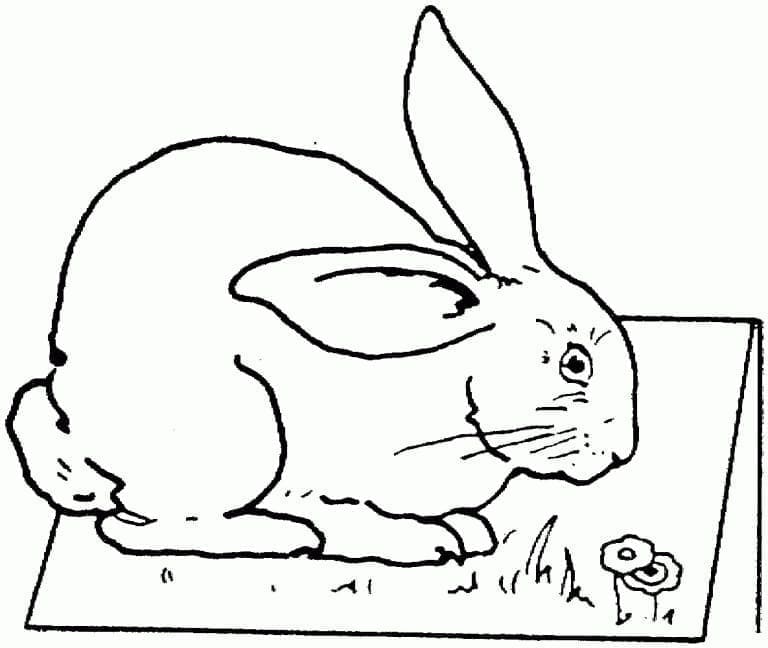 Free printable Rabbit coloring page #177206 from Animals collection