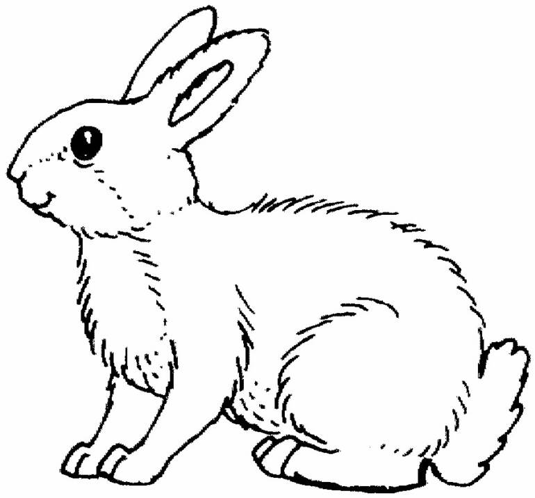 Coloring page: Rabbit (Animals) #9504 - Free Printable Coloring Pages