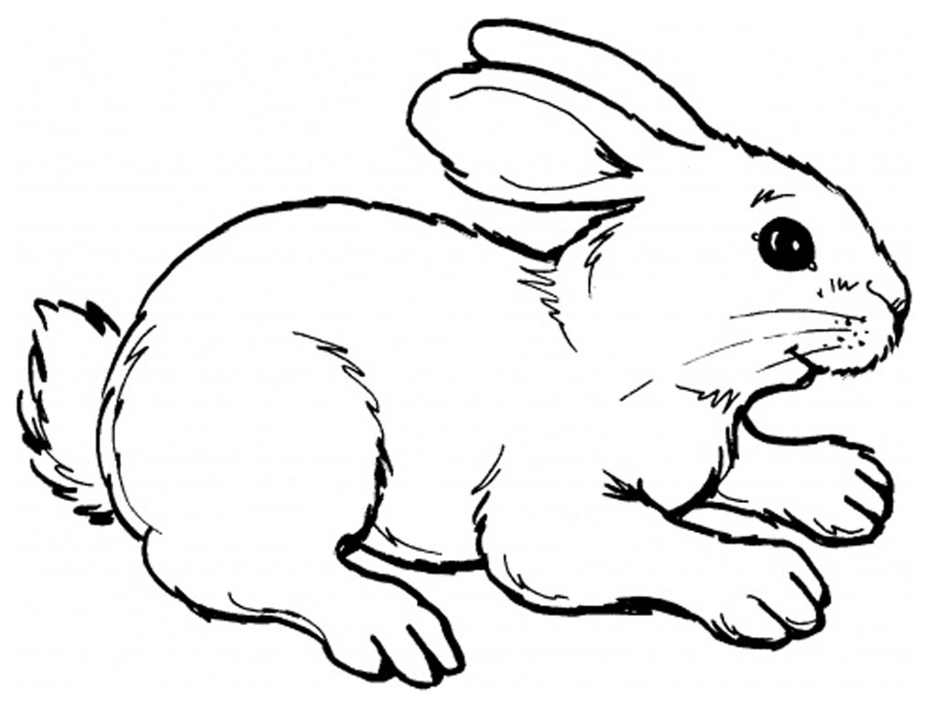 Coloring page: Rabbit (Animals) #9507 - Free Printable Coloring Pages
