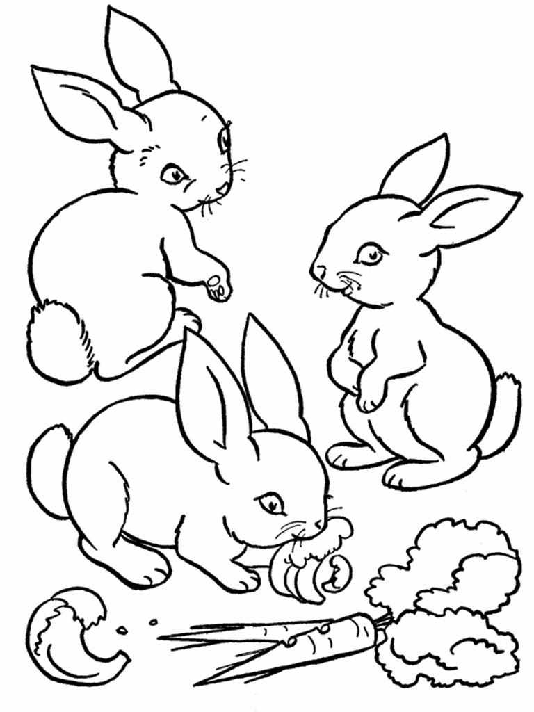 Coloring page: Rabbit (Animals) #9522 - Free Printable Coloring Pages