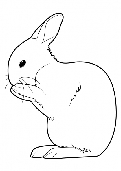Coloring page: Rabbit (Animals) #9554 - Free Printable Coloring Pages