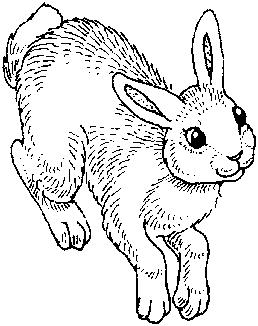 Coloring page: Rabbit (Animals) #9581 - Free Printable Coloring Pages